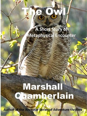 cover image of The Owl